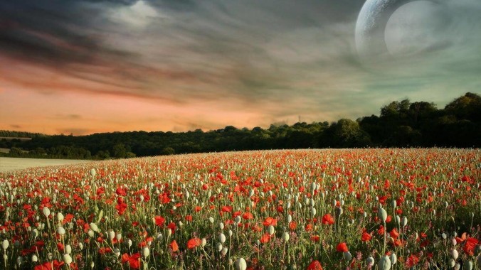 《权力的游戏》里面最美的是谁？